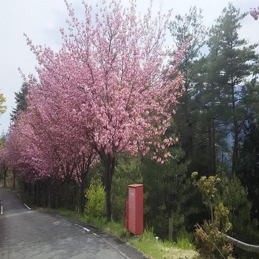 Terrace Resort 아사고 외부 사진